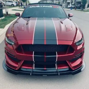 2015-2017 Ford Mustang GT350 Front Splitter