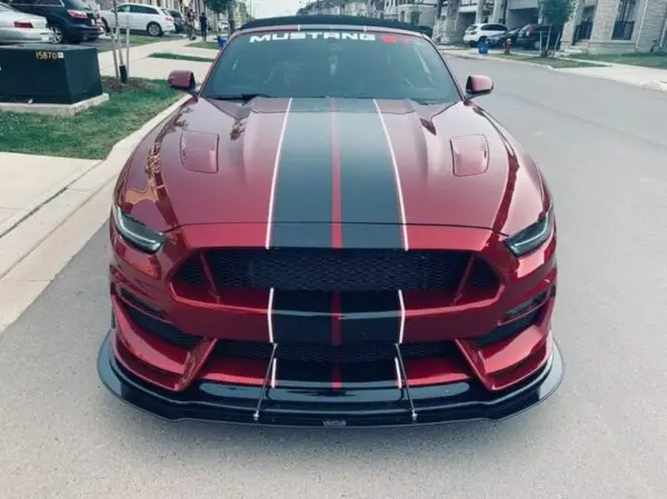 2015-2017 Ford Mustang GT350 Front Splitter